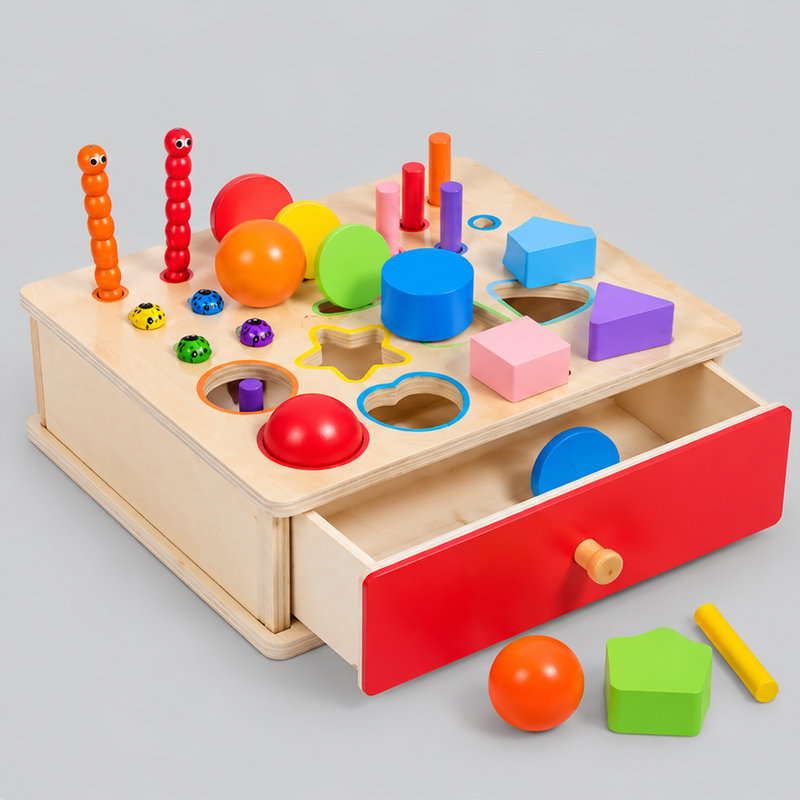 Montessori Shape Sorting Coin Box