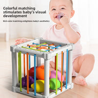 Fruit Rainbow Sensory Educational Toys
