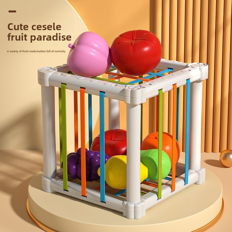 Fruit Rainbow Sensory Educational Toys