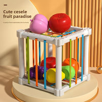Fruit Rainbow Sensory Educational Toys