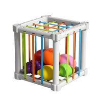 Fruit Rainbow Sensory Educational Toys