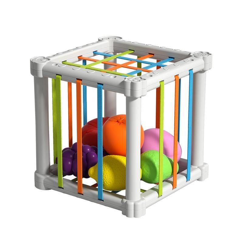 Fruit Rainbow Sensory Educational Toys