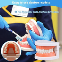 Kids Dental Care Teaching Model