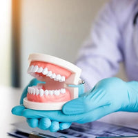 Kids Dental Care Teaching Model