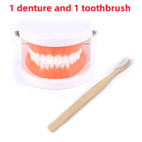 Kids Dental Care Teaching Model