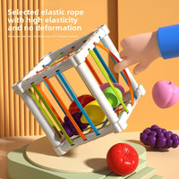 Fruit Rainbow Sensory Educational Toys